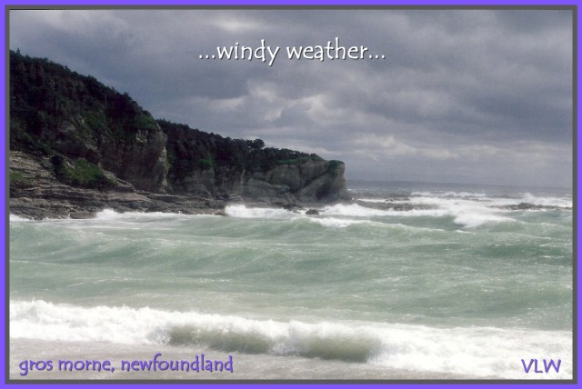 windy weather Newfoundland