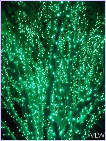 BG tree of lights green