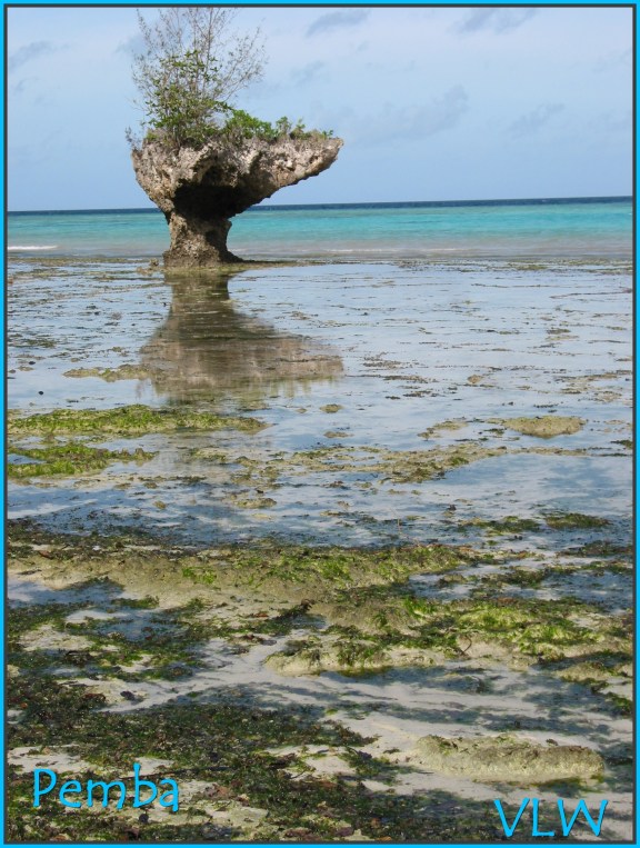 Pemba low tide fixture