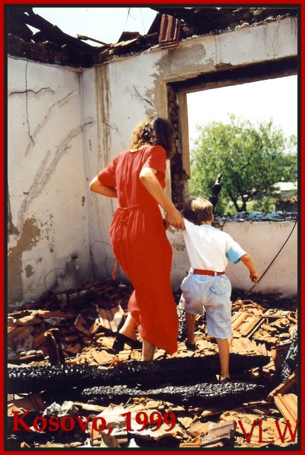 Kosovo living rose (2)