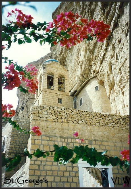 WB St Georges flowers