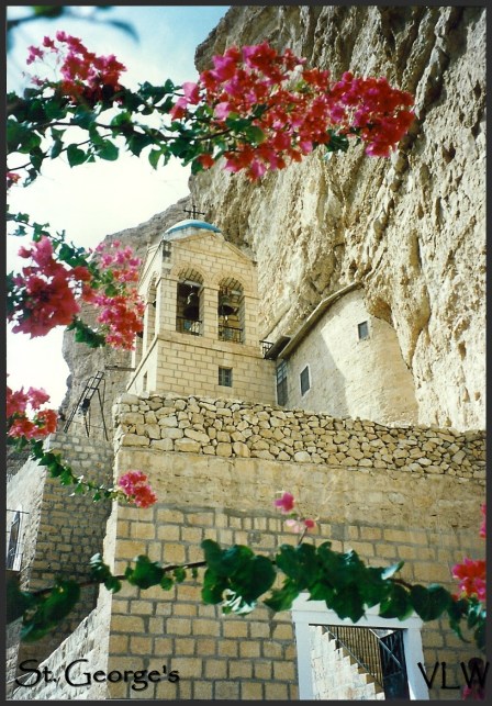 WB St Georges flowers