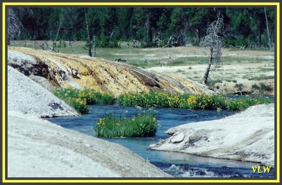 WY5 Iron Spring Creek (2)