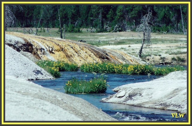 WY5 Iron Spring Creek (2)