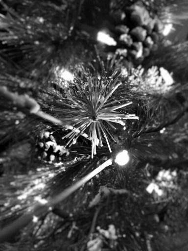 tree light star