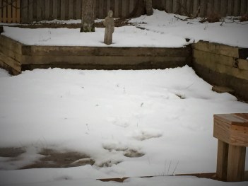 snow melting st francis 03 03 15