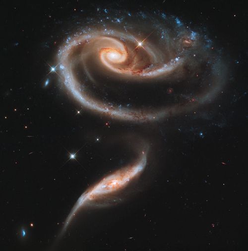 NASA_Rose_Made_of_Galaxies_Highlights_Hubble's_21st_Anniversary_jpg