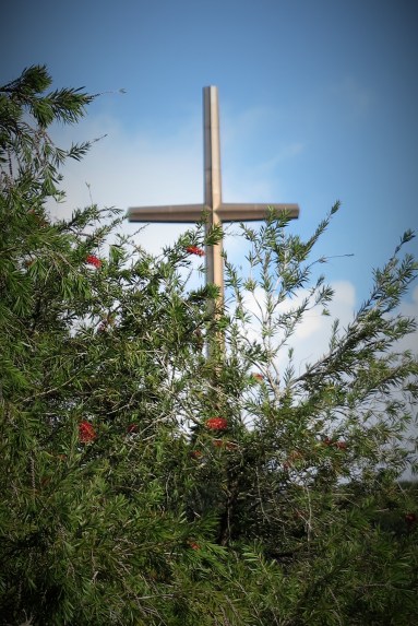 FL SA great cross trolley tour (2)