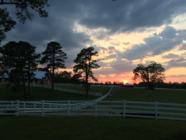 82DA83E7-55F6-4D04-AA42-9C4F4C30FCD6